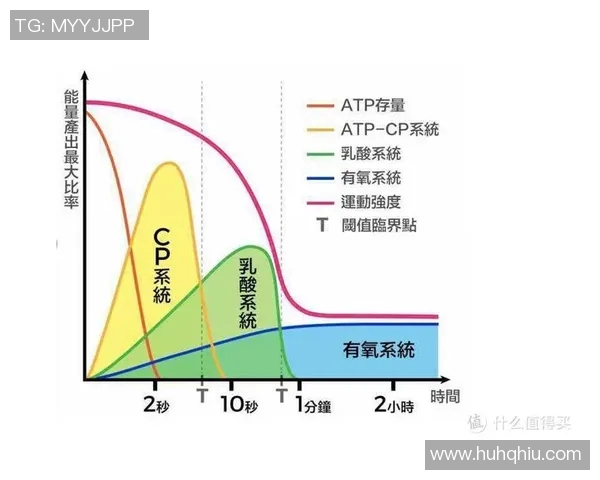 揭秘足球巨星骨架结构:揭示运动员身体奥秘与力量来源 揭秘足球巨星骨架结构:揭示运动员身体奥秘与力量来源